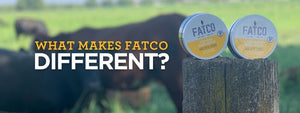 What Makes FATCO Different?