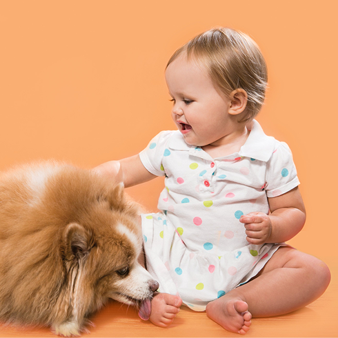 Collection Hover Image